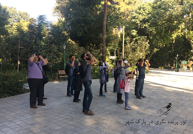 Birding Tour Tehran