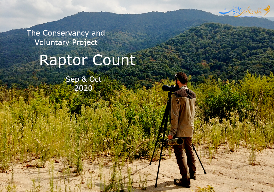 Raptor Counting 2020