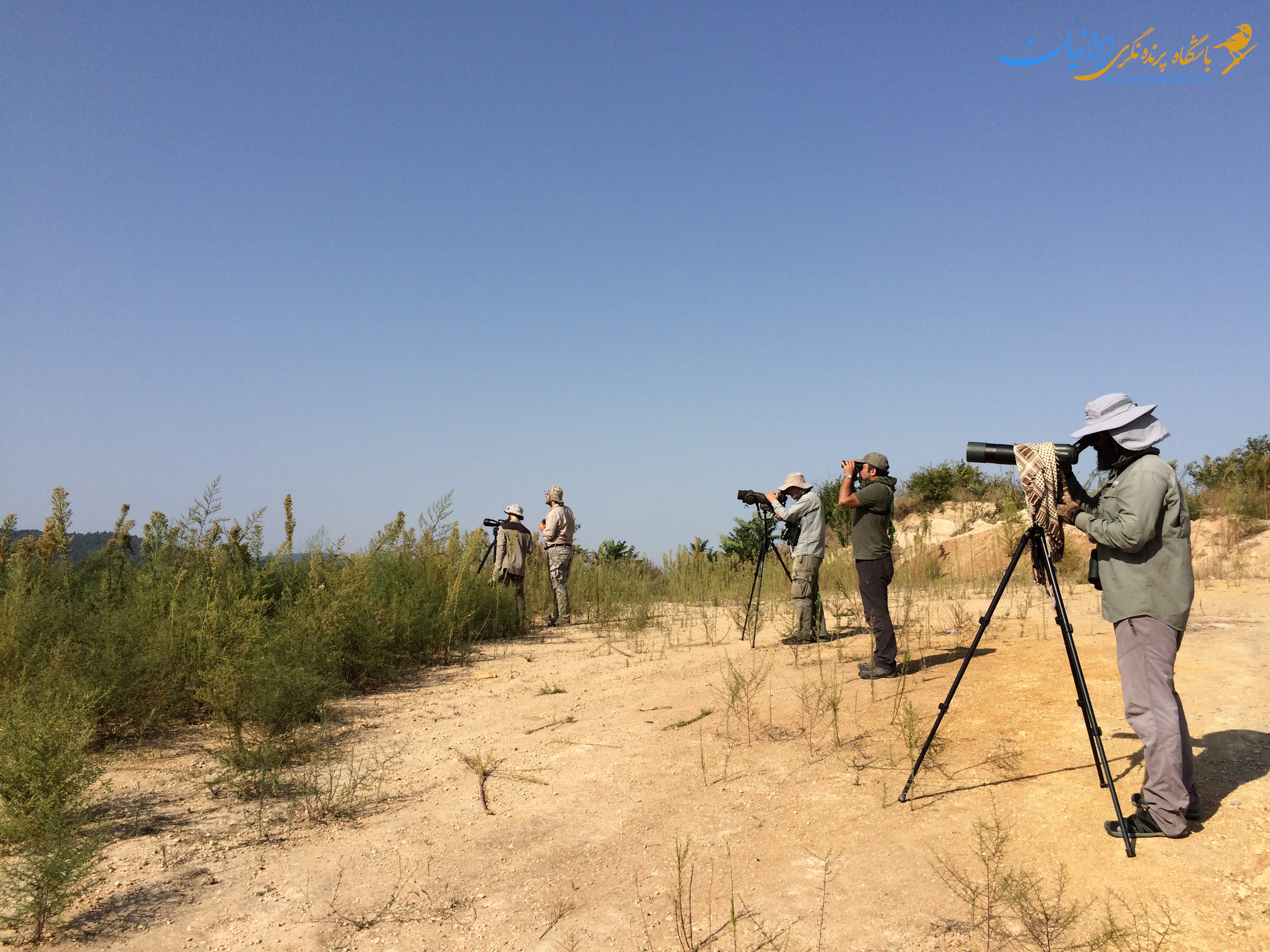 Raptor Counting Iranian birding club