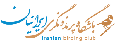 باشگاه پرنده نگری ایرانیان