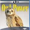   Owl Power