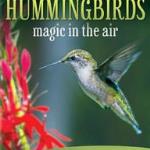 Hummingbirds Magic in the Air