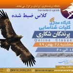 کارگاه ضبط شده کلیات شناسایی پرندگان شکاری ایران 