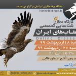 کارگاه شناسایی تخصصی عقاب‌های ایران | 20 و 22 اردیبهشت 1400