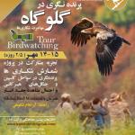 پرنده‌نگری در گلوگاه (مازندران) | سه‌شنبه 13 تا پنج‌شنبه 15 مهر 1400