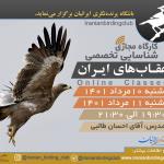 کارگاه شناسایی تخصصی عقاب‌های ایران | دوشنبه و سه‌شنبه 10 و 11 مرداد 1401