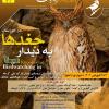 پرنده‌نگری در خوزستان (تور اول ویژه نوروز 1402) | 3 تا 6 فروردین 1401