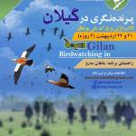 پرنده‌نگری در گیلان: تالاب انزلی و پارک ملی بوجاق | 21 و 22 اردیبهشت 1402