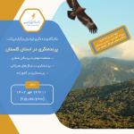 پرنده‌نگری در استان گلستان | 11 تا 14 مهر 1402
