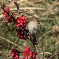 پارک نهج البلاغه