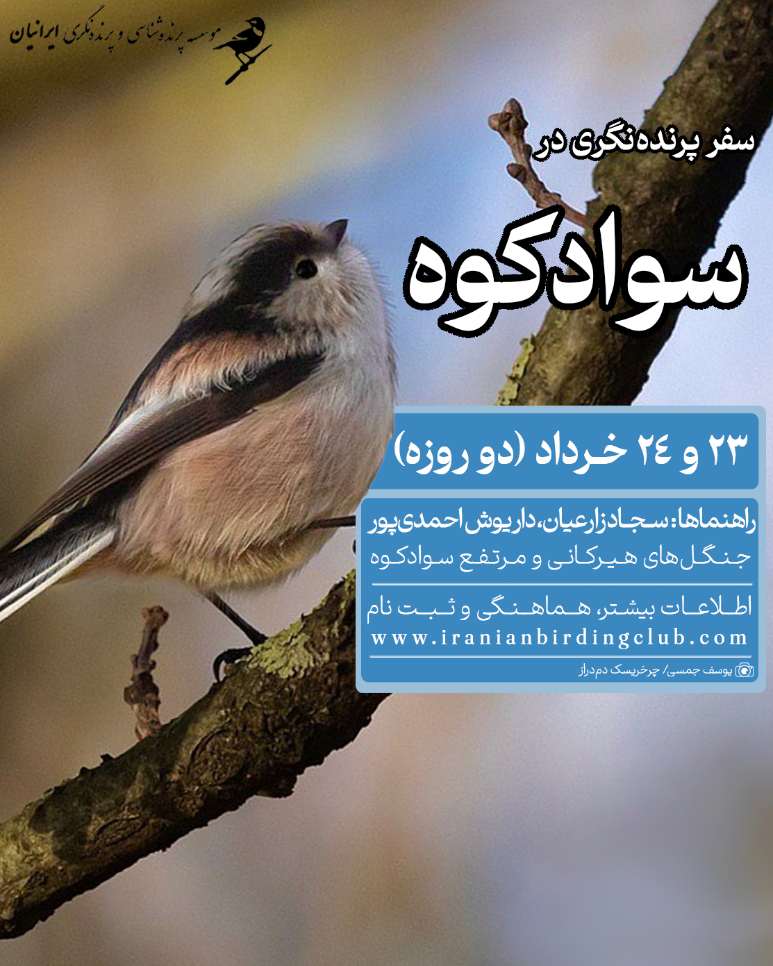 پرنده‌نگری در سوادکوه