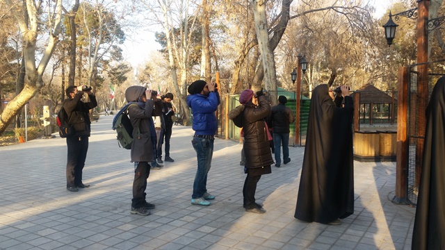 پرنده نگری