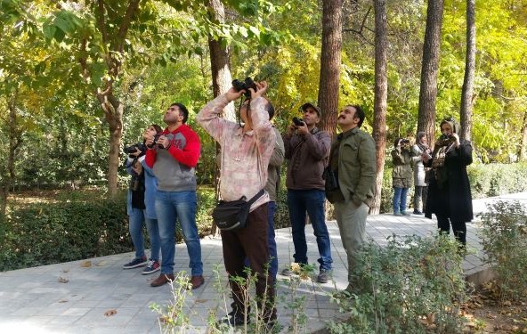 پرنده نگری