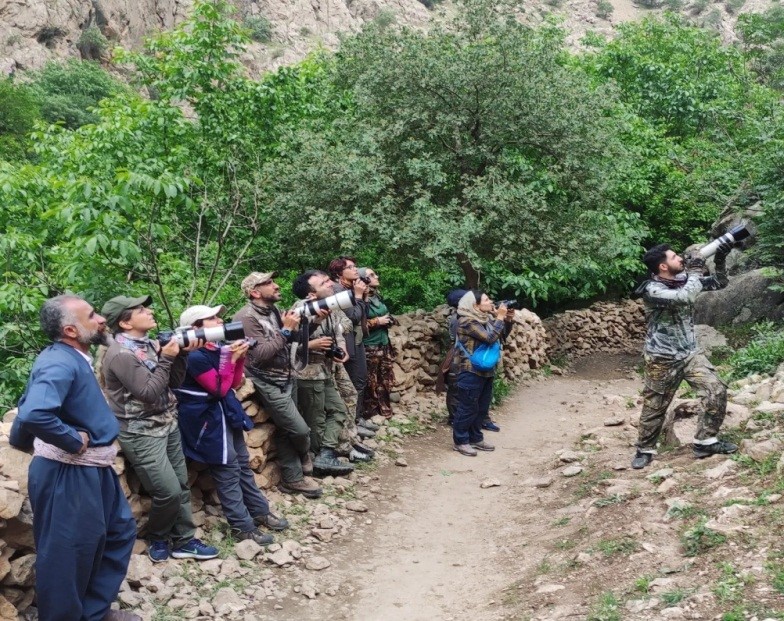 پرنده نگری در پالنگان