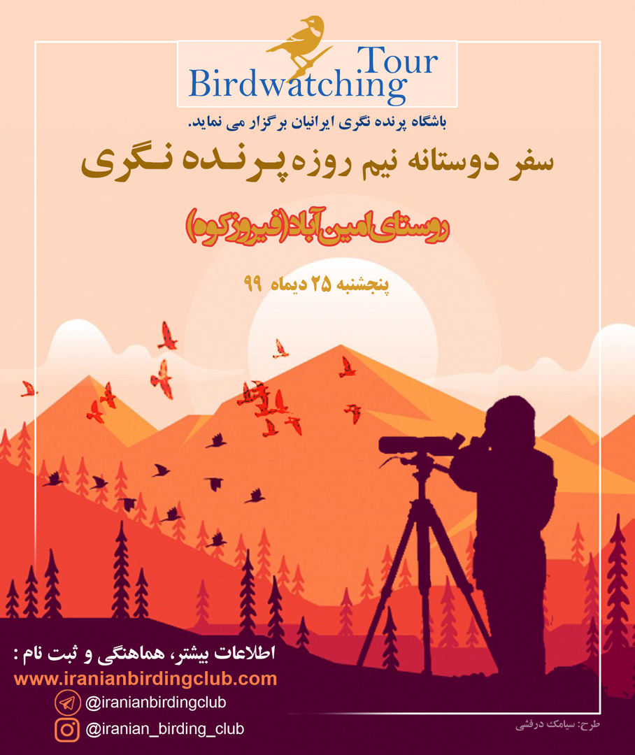 پرنده نگری در امین آباد فیروزکوه