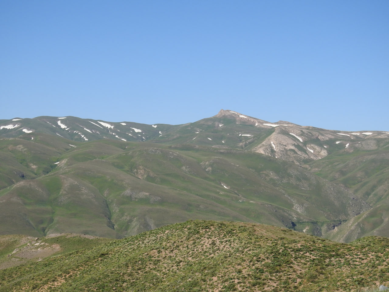 Angooran Protected Area_Abraham Shokouhi_Iranian Birding Club