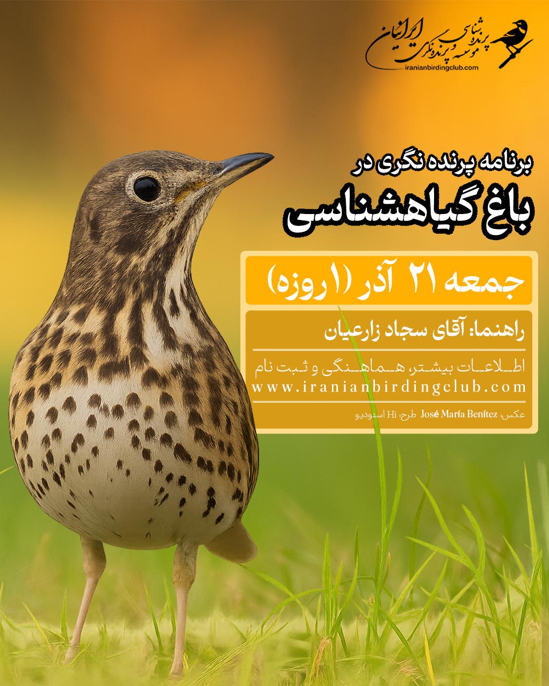 پرندهنگری در باغ گیاهشناسی Birdwatching IranianBirdClub
