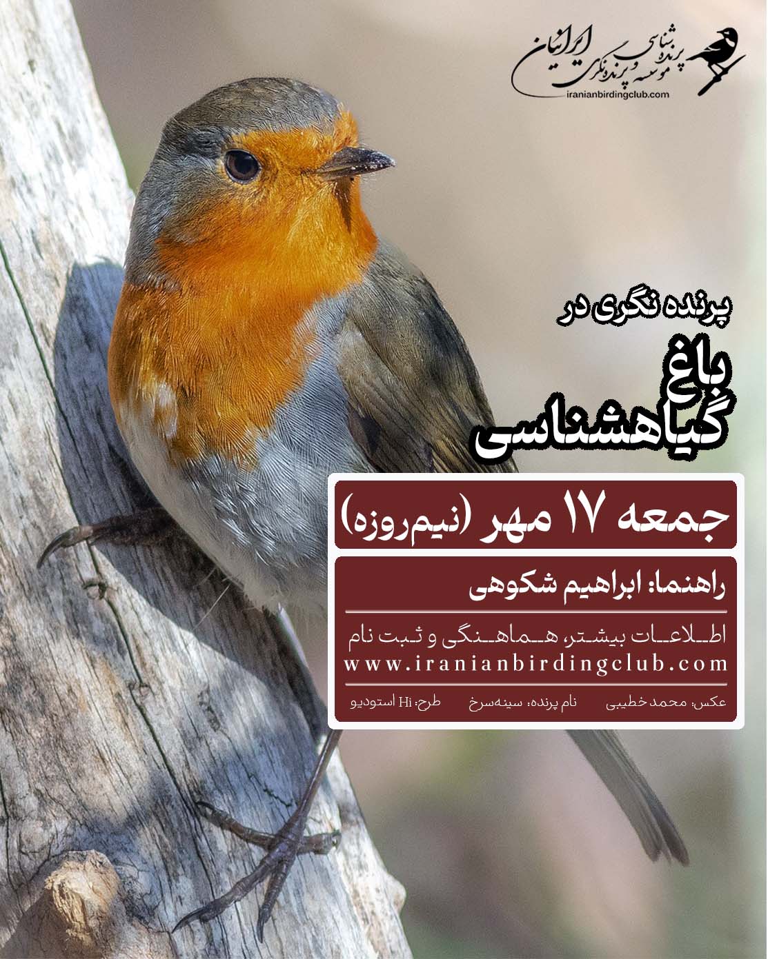 Birdwatching_World Migratory Bird Day 2026