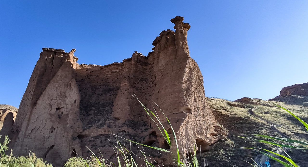 Behestan Castle_Abraham Shokouhi_Iranian Birdin Club