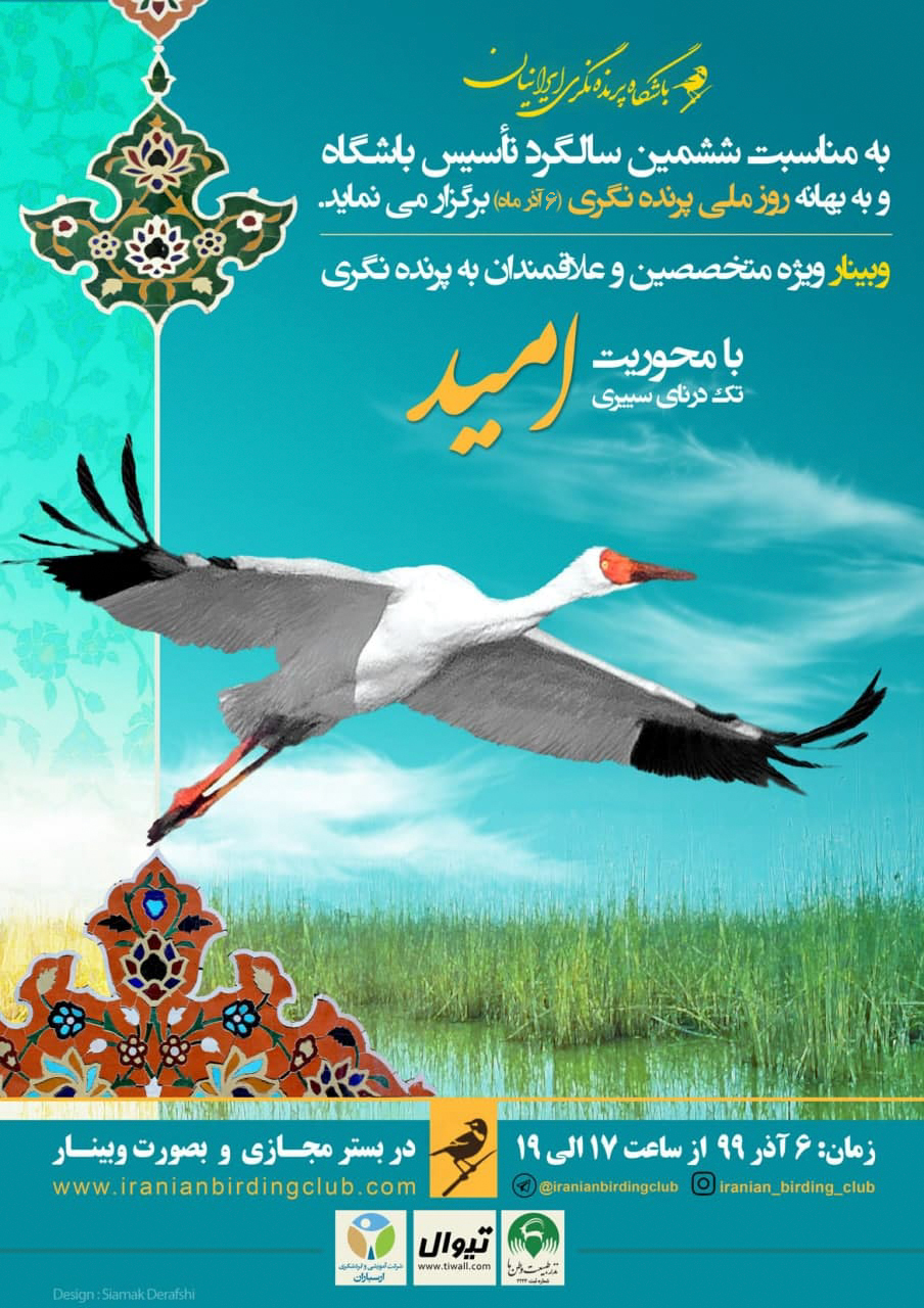 روز ملی پرنده نگری