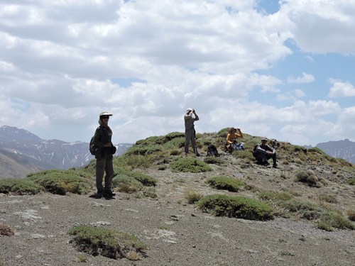 پرنده نگری