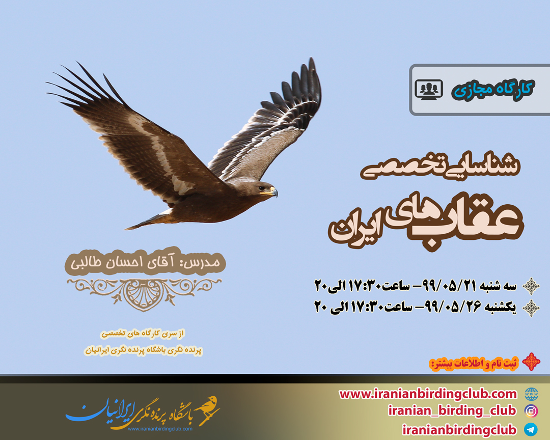 کارگاه شناسایی عقاب های ایران