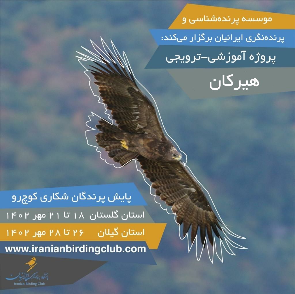 برنامه های هیرکان