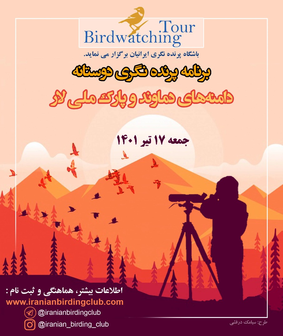 پرنده نگری دشت لار