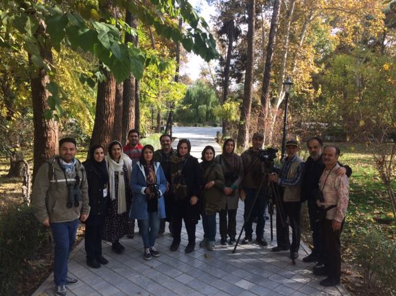 پرنده نگری