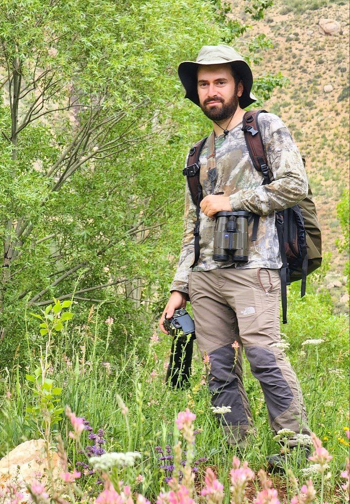 Mohammad reza kashfi - birdwatching tourguide