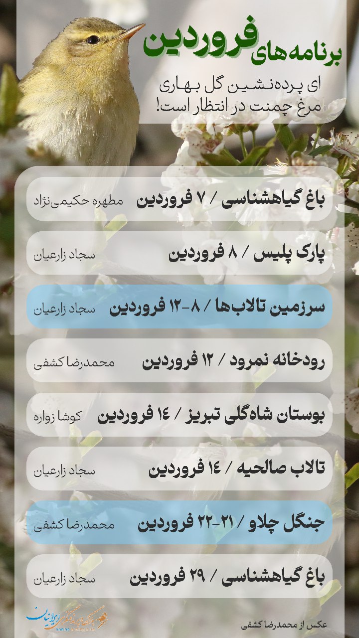 فروردین با باشگاه به پرنده‌نگری بیایید!