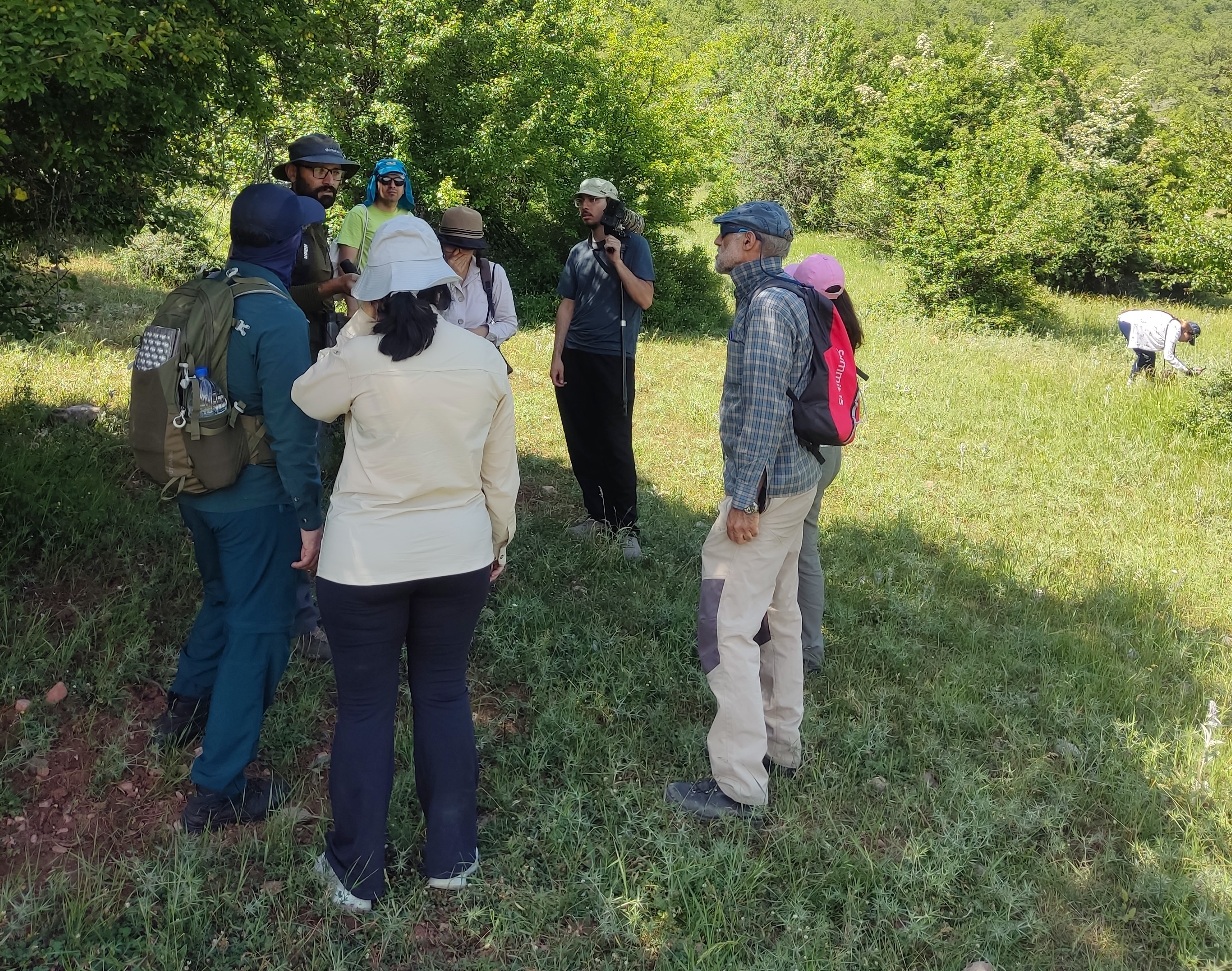 Parvar_Mehdi Ghorbani_Iranian Birding Club