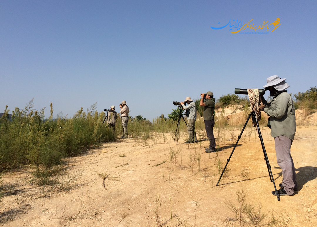 در حال شمارش