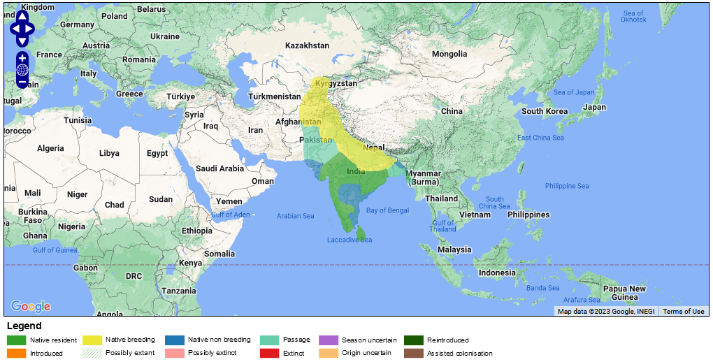 نقشه پراکنش مگس گیر بهشتی هندی