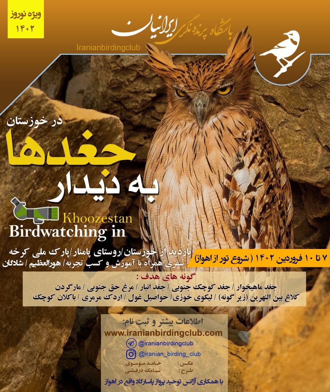 Brown Fish Owl Iranian Birding Club