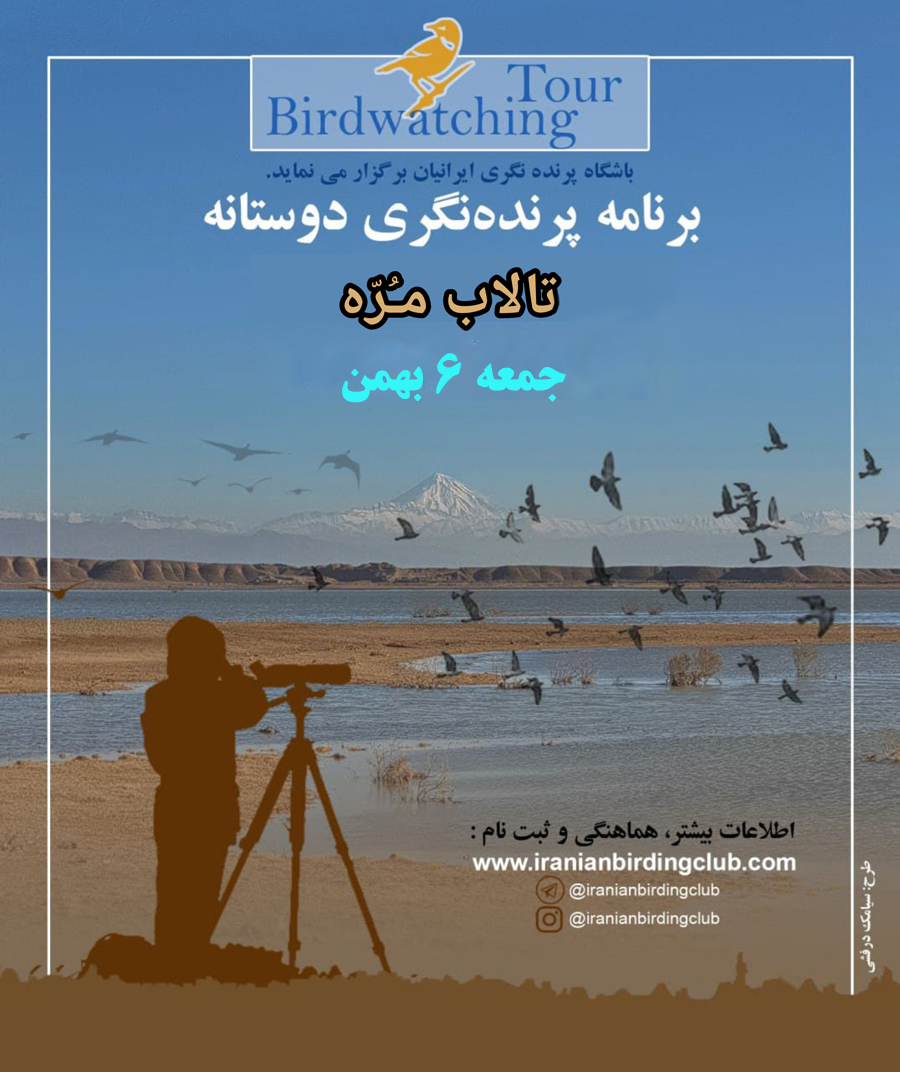پوسنر مره