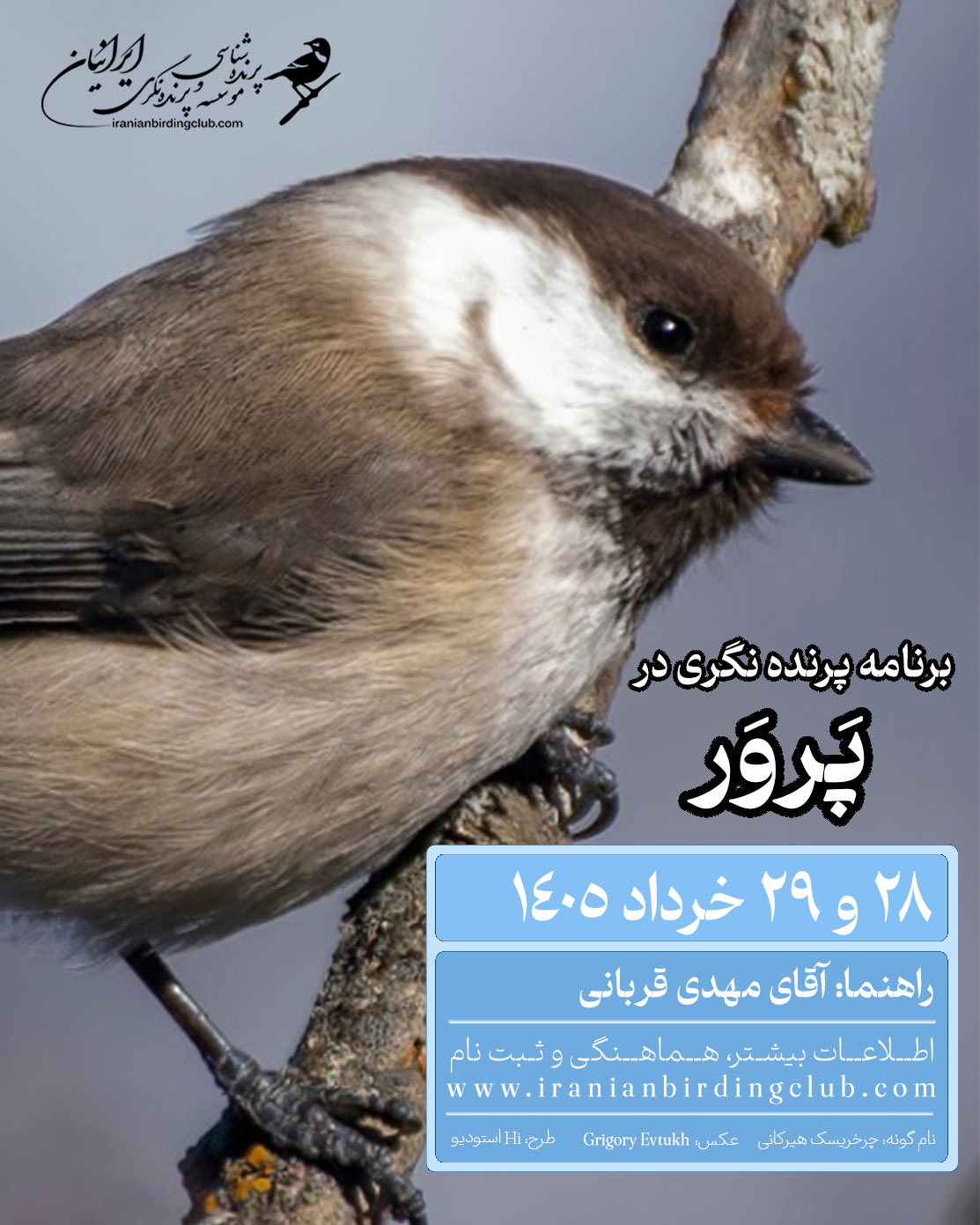 چرخریسک هیرکانی پرنامه پرنده نگری