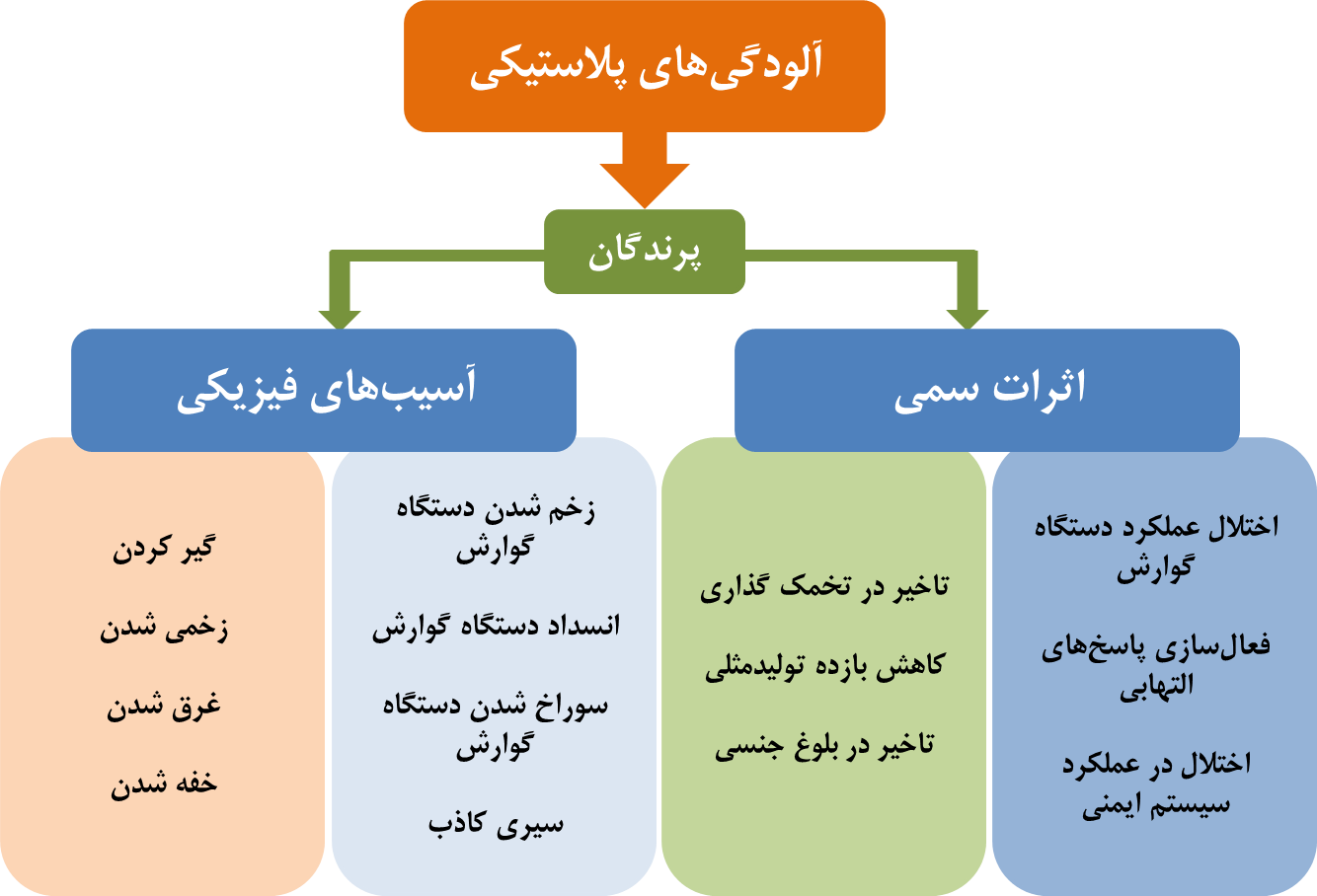 آلودگی های پلاستیک