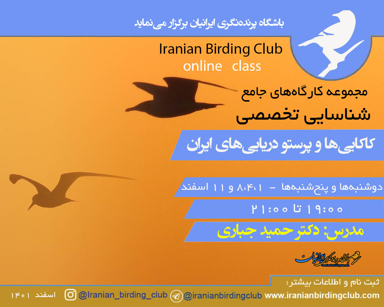 Gulls and Terns identification workshop_Iranian Birding Club
