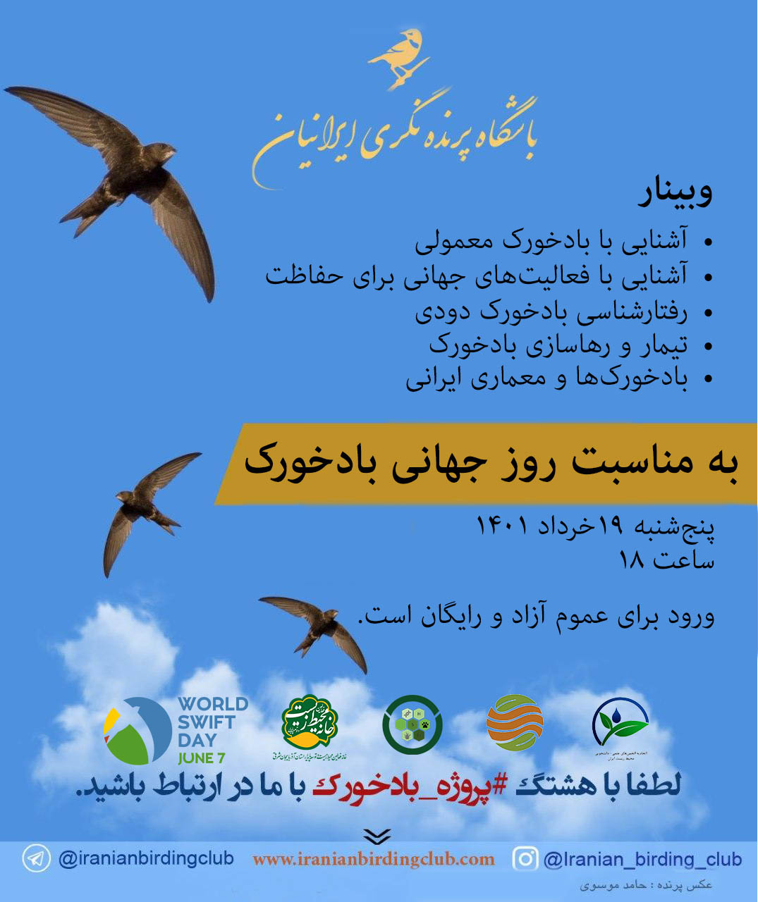 روز جهانی بادخورک International Swift Day Webinar_Iranian Birding Club