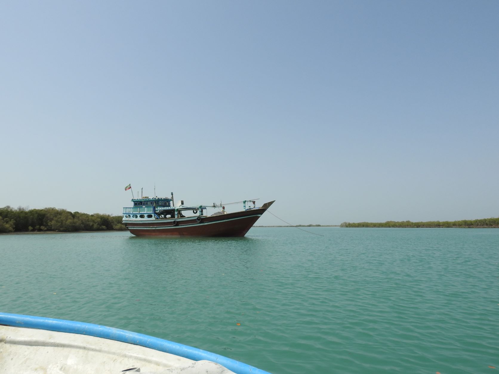 Shokouhi_Persian Gulf_birdwaching_Iranian Birding Club