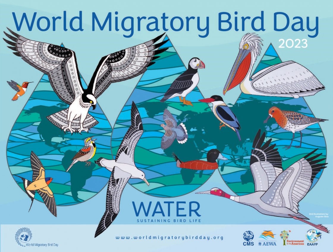 پوستر روز جهانی پرندگان مهاجر 1402