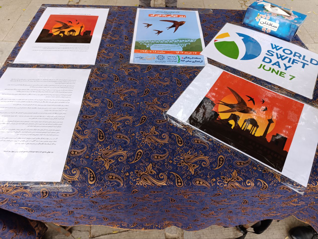 World Swift Day 2025_Iran Swift Conservation_Iranian Birding Club_Tehran