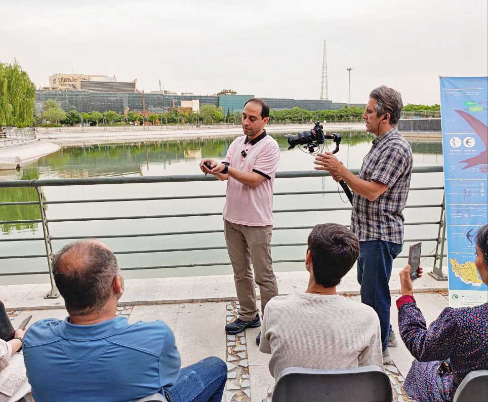 World Swift Day 2025_Iran Swift Conservation_Iranian Birding Club_Tehran