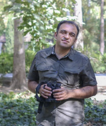 حامد موسوی- راهنمای پرنده‌نگری