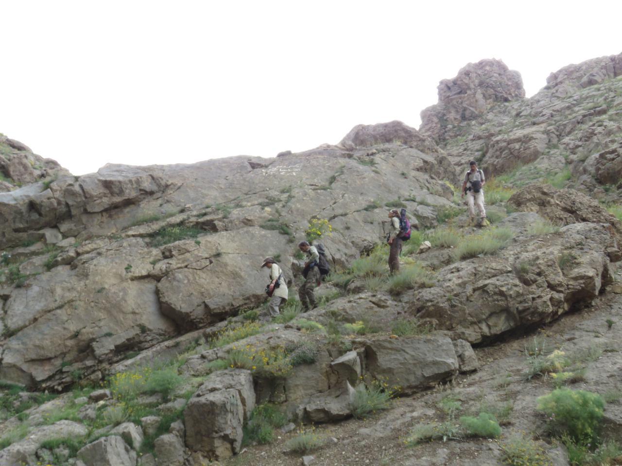 کوه