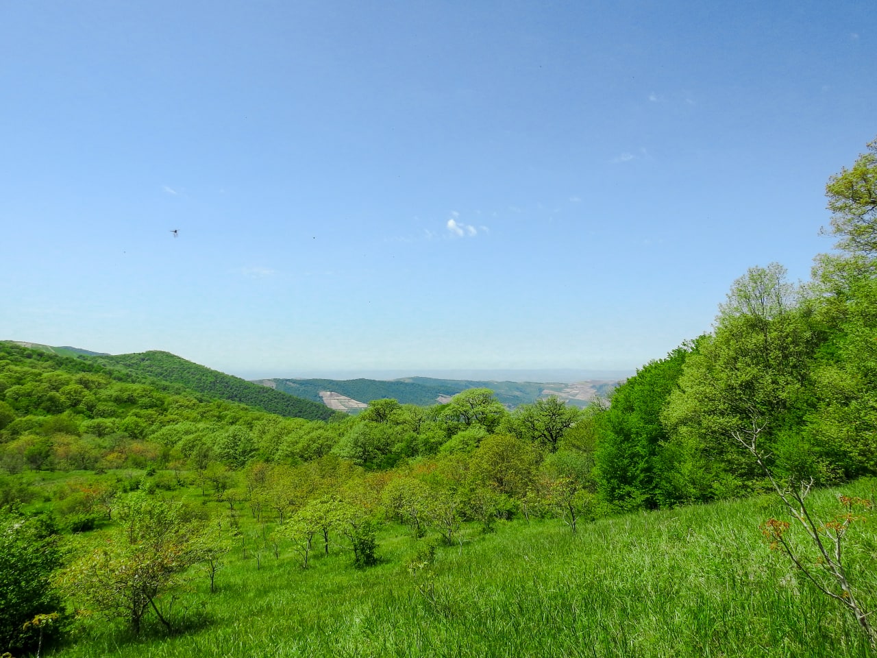 پارک ملی گلستان