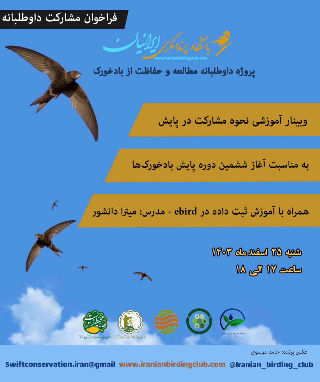 Iran Swift Conservation Project