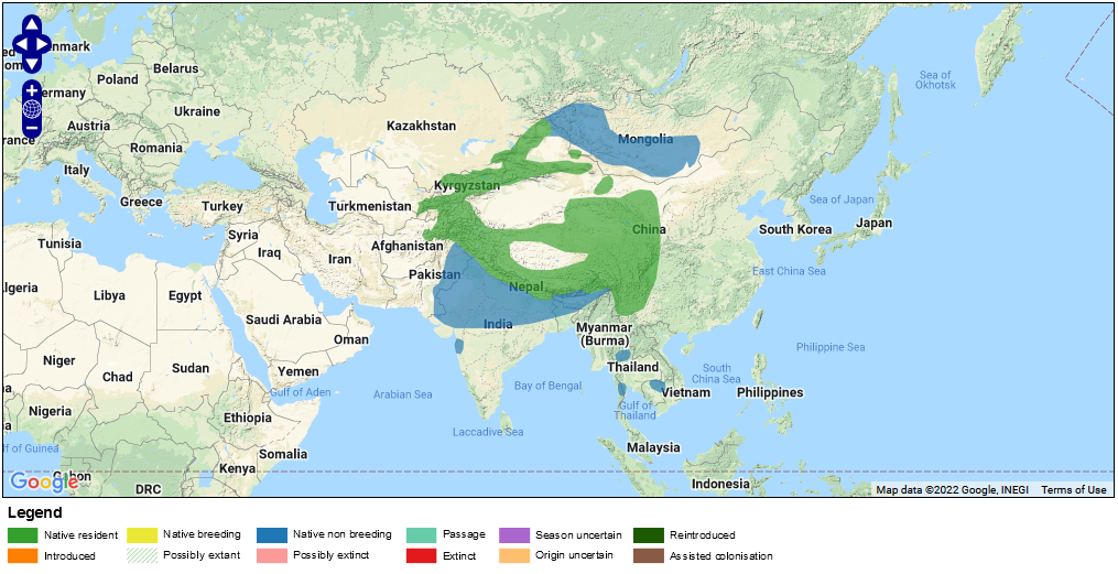 نقشه پراکنش دال هیمالیایی