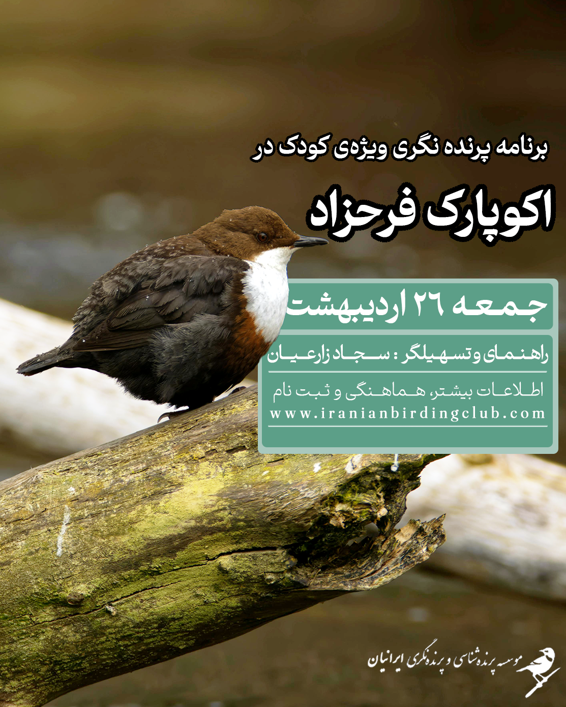 پرندهنگری برای کودک در اکوپارک فرحزاد پرندهنگری برای کودک در اکوپارک فرحزاد